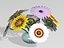 Daisies