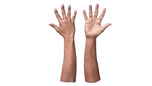 Retopologized Hand scan Malachi Sugihen 3D model