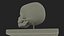 Pediatric Skull Teaching Model 40 Weeks Plastic Rigged