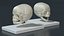 Pediatric Skull Teaching Model 40 Weeks Plastic Rigged