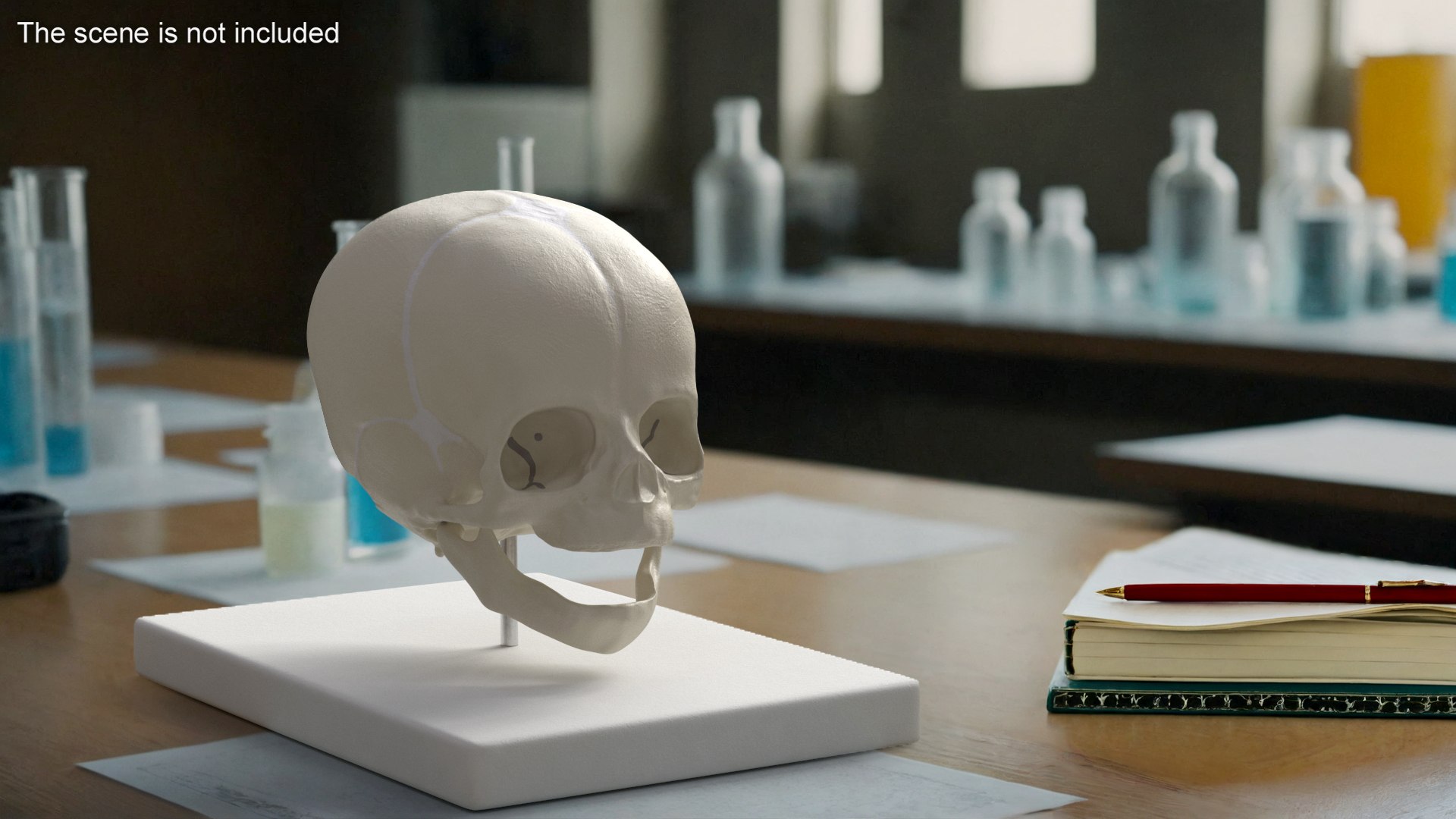 3D Pediatric Skull Teaching Model 40 Weeks Plastic Rigged model https://p.turbosquid.com/ts-thumb/SK/u8npX1/hU/pediatric_skull_teaching_model_40_weeks_plastic_rigged_003/jpg/1747727061/1920x1080/fit_q87/e85644a4bab1b7fd3b49ef691569faa81076f1a9/pediatric_skull_teaching_model_40_weeks_plastic_rigged_003.jpg