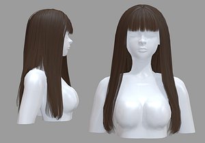 3D Female Basic Hairstyle