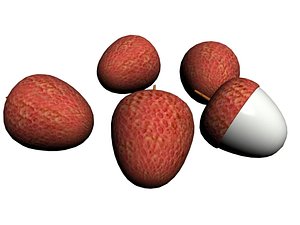 3D latchi model
