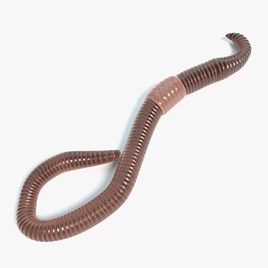 3D earthworm pbr polys