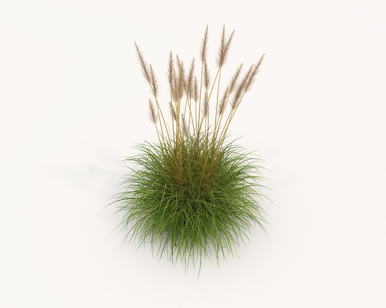 3D Realistic Shrub Bush Set 4 model - TurboSquid 2030597
