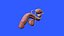 Penis Anatomy