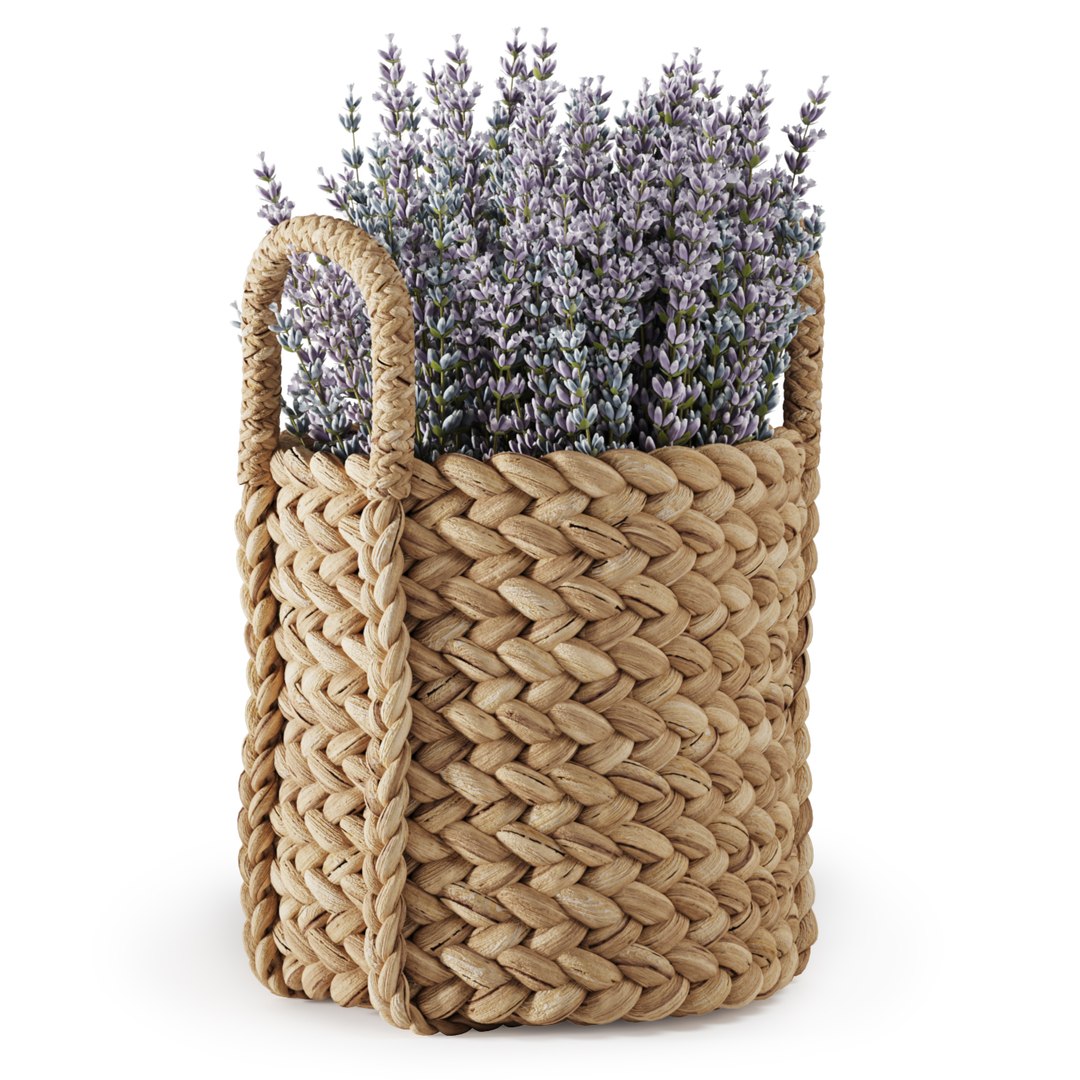3D pottery barn beachcomber baskets https://p.turbosquid.com/ts-thumb/SL/MNW3g6/laFApM0L/basket_03/jpg/1600933349/1920x1080/fit_q87/3fa4078f8431728f14da051b3120ba49a6d4eb90/basket_03.jpg