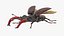Lucanus Cervus Stag Beetle Rigged for Cinema 4D