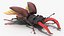 Lucanus Cervus Stag Beetle Rigged for Cinema 4D
