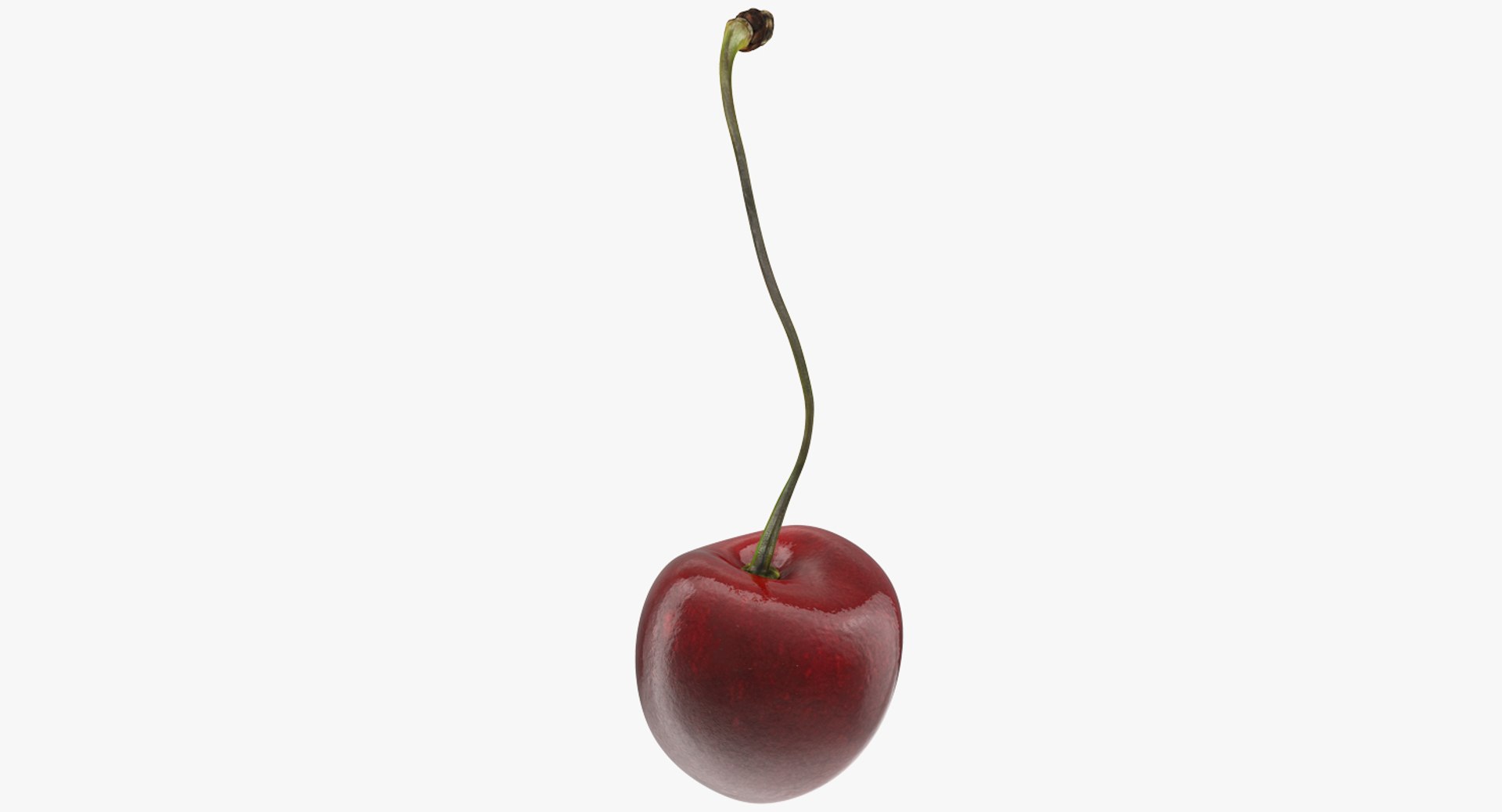 Sour Cherry 3D model preview