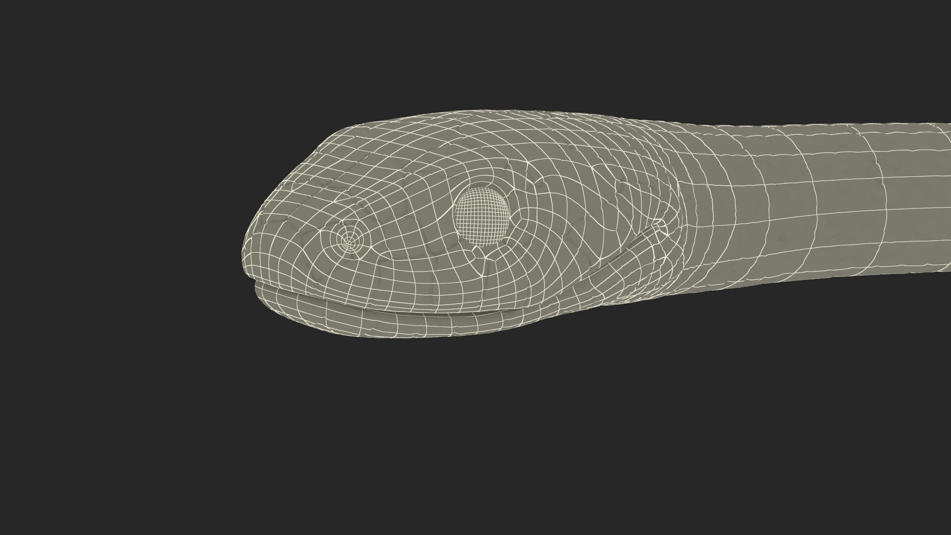 3D Water Snake Crawling https://p.turbosquid.com/ts-thumb/SL/jwT5Ks/Ah/watersnakecrawling3dsmodel024/jpg/1719428542/1920x1080/fit_q87/04e52625f3a2be4043f20cb043691e58bf8f6415/watersnakecrawling3dsmodel024.jpg