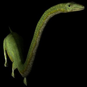 3d ultrasaurus dinosaur model