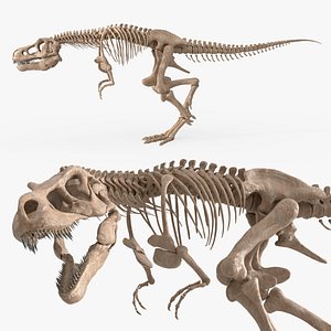 T-Rex Skeleton Rigged For Blender Animated Set