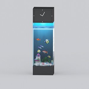 Aquarium Box