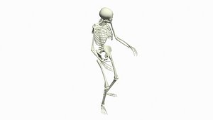 Skeleton Rigged 3D Animations Set 5 - 25 in 1 3D model