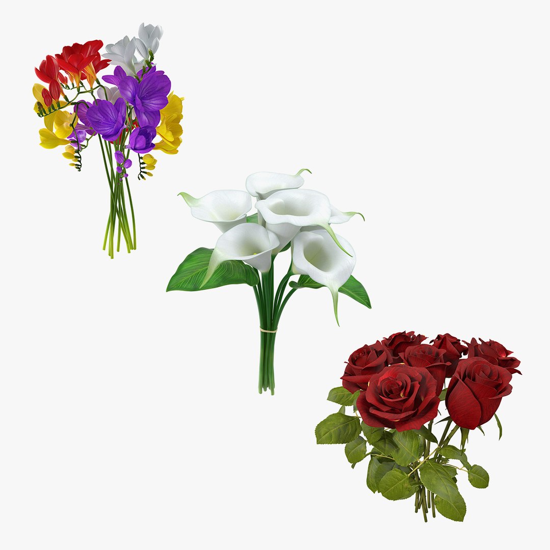 Bouquets Collection 3D model preview