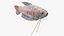 Coleção de Peixes de Aquário 2