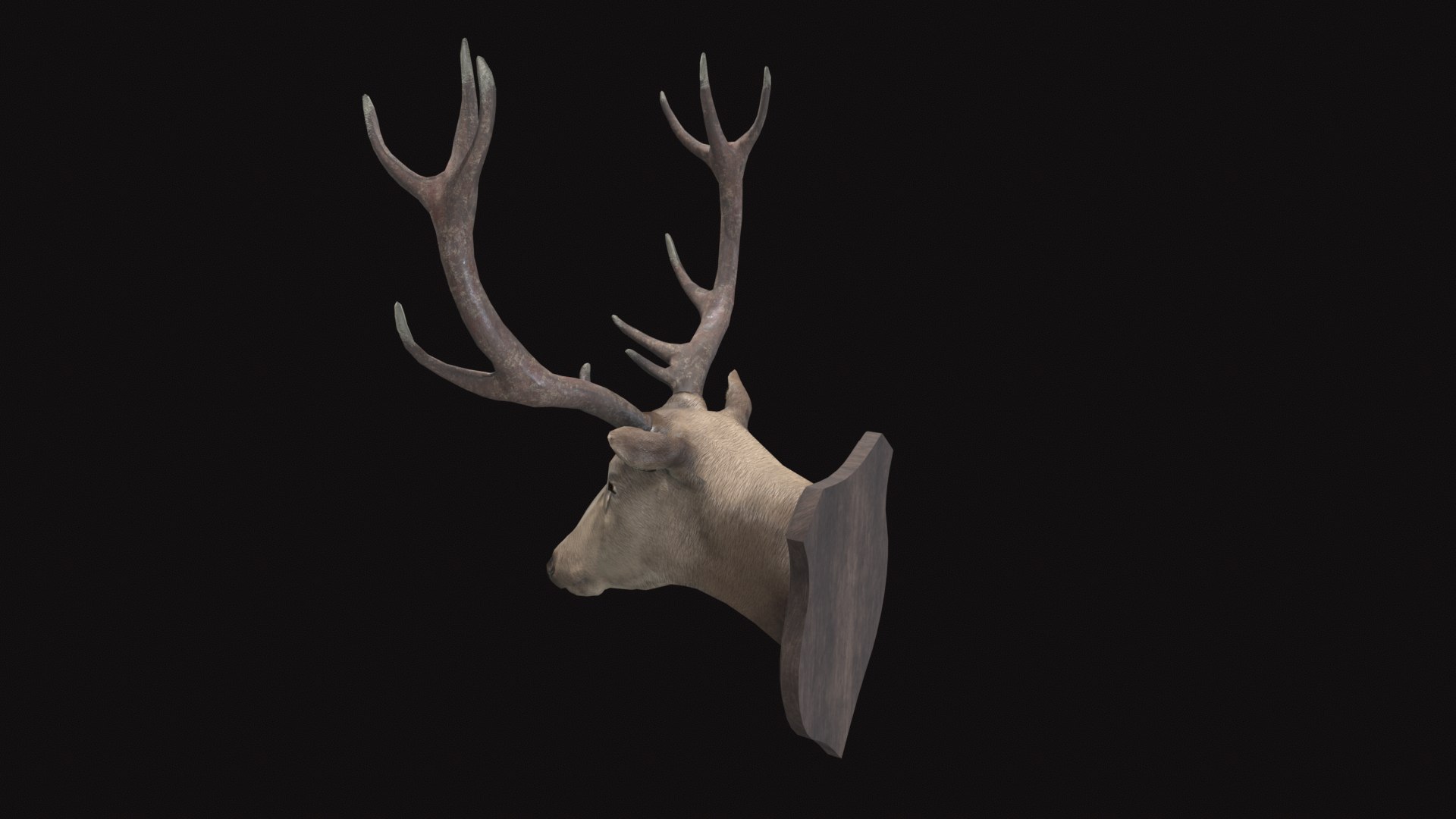 3D model Medieval Deer Head https://p.turbosquid.com/ts-thumb/SM/GXmlsU/Ic/tbrender_back/png/1732343381/1920x1080/fit_q87/58ede545f983adc656be1e76de84cb9310dcef92/tbrender_back.jpg