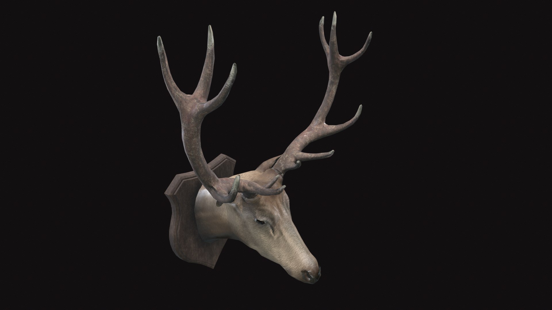 3D model Medieval Deer Head https://p.turbosquid.com/ts-thumb/SM/GXmlsU/T1/tbrender_angled/png/1732343380/1920x1080/fit_q87/6243cf914c73bcdfedc063f4f3418031b95dbc98/tbrender_angled.jpg