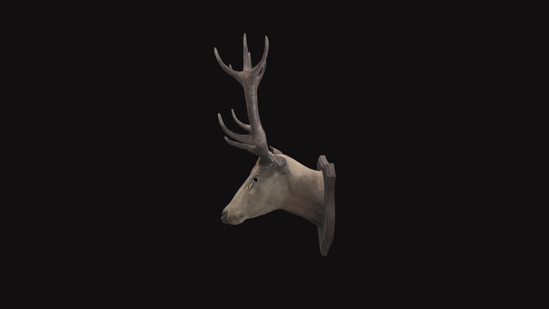 3D model Medieval Deer Head https://p.turbosquid.com/ts-thumb/SM/GXmlsU/bm/tbrender_left/png/1732343376/1920x1080/fit_q87/28c845e483774d539441f0e1033e4ba5a359e988/tbrender_left.jpg