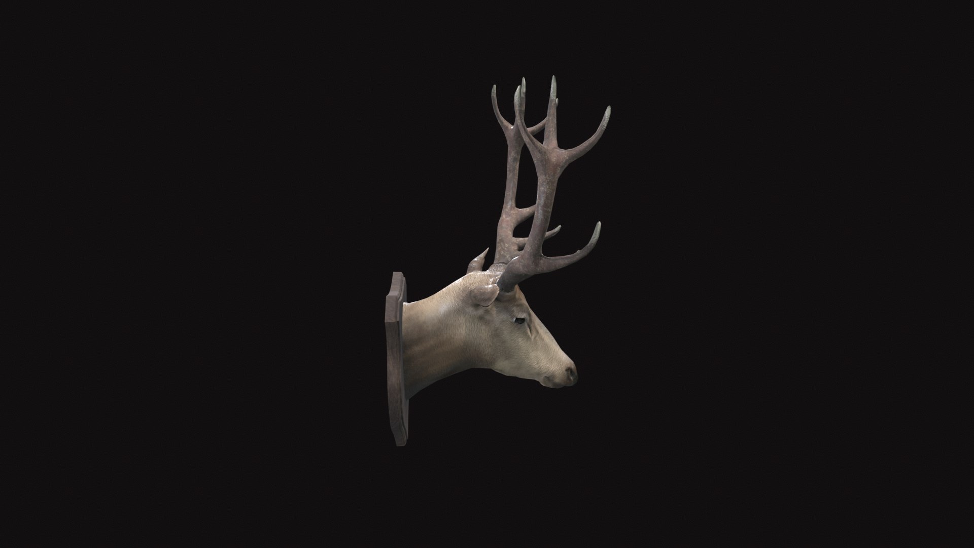 3D model Medieval Deer Head https://p.turbosquid.com/ts-thumb/SM/GXmlsU/cG/tbrender_right/png/1732343377/1920x1080/fit_q87/abc5c82f7eb471507e1bf2873a97b3b39a32bc3f/tbrender_right.jpg