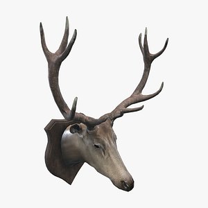 Medieval Deer Head
