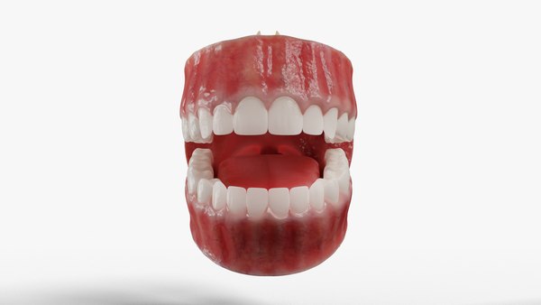 3d Gums Teeth Tongue - Turbosquid 1664907