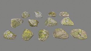 Realistic Mossy Rock Pack - Large