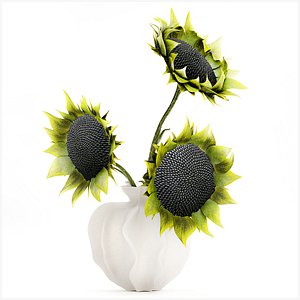 3D Beautiful bouquet green black sunflowers vase decor