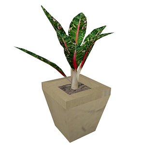 plant 3D model