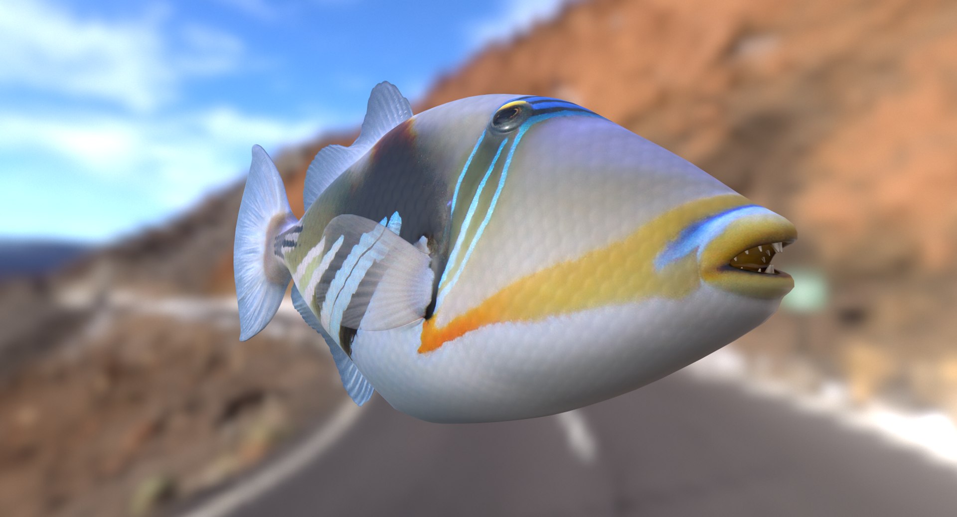 3D Picasso Triggerfish - TurboSquid 1381372