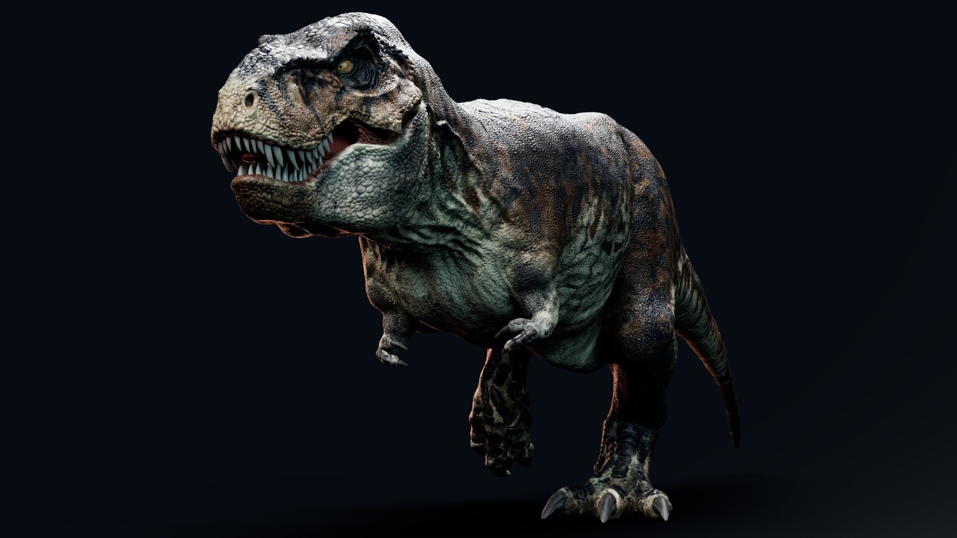 3D model Tyrannosaurus Rex Sue Unreal Engine - Unity Projects https://p.turbosquid.com/ts-thumb/SM/hiduBb/oP/t17/jpg/1709940684/1920x1080/fit_q87/ce54a7dedc671b716b9440e12701af6efd05b505/t17.jpg