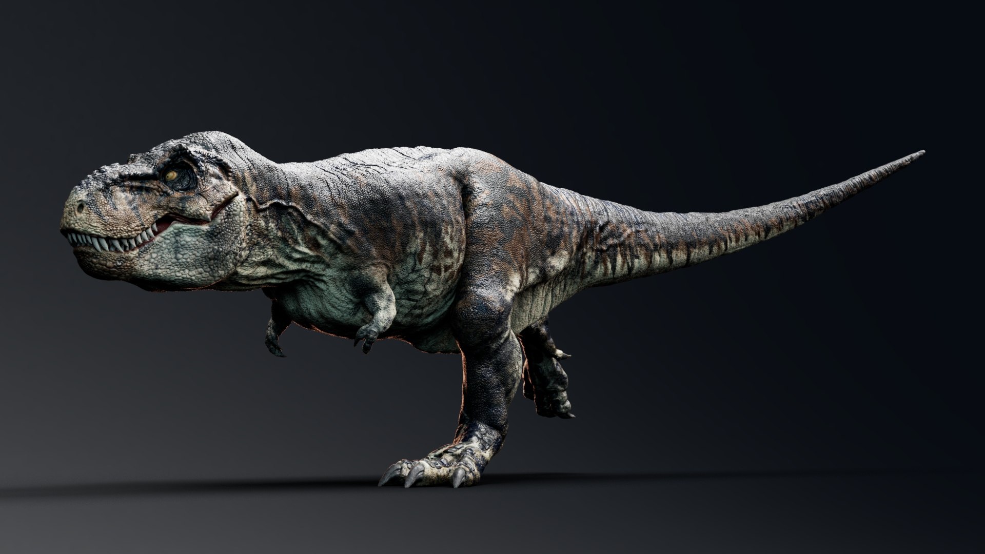 3D model Tyrannosaurus Rex Sue Unreal Engine - Unity Projects https://p.turbosquid.com/ts-thumb/SM/hiduBb/xo/t19/jpg/1709940689/1920x1080/fit_q87/cc30e3d0fd7b54ea843bfc33c0cd494cfeab3b84/t19.jpg