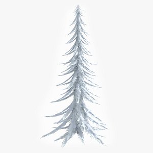 snowy pine tree snow max