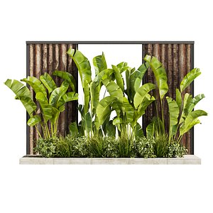 plant vol 795 - garden - leaf - banana