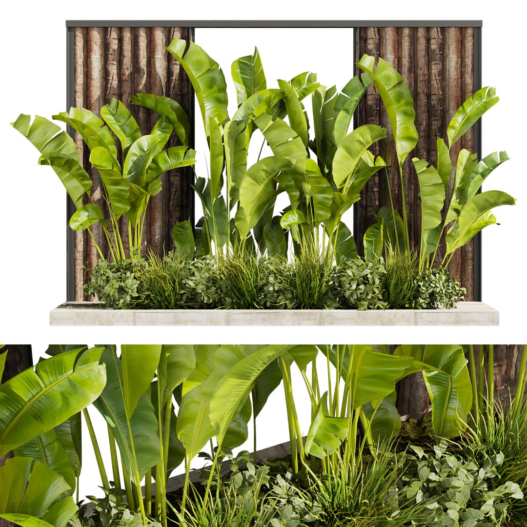 plant vol 795 - garden - leaf - banana 3D model https://p.turbosquid.com/ts-thumb/SM/oGkdFX/Za/1/jpg/1766594522/1920x1080/fit_q87/8ce00e3381f349aaf92e7a2c96ce39e9f7075d0f/1.jpg