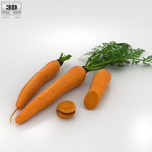 carrot vegetable food 3D model