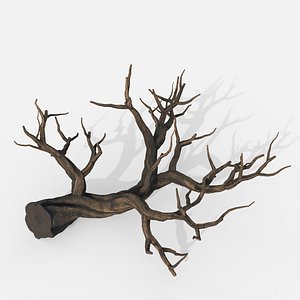 Aquarium Snag V21 3D model
