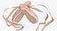 Ballet Shoes Crossed