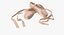 Ballet Shoes Crossed