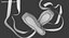 Ballet Shoes Crossed
