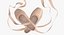 Ballet Shoes Crossed