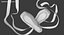 Ballet Shoes Crossed
