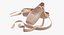 Ballet Shoes Crossed