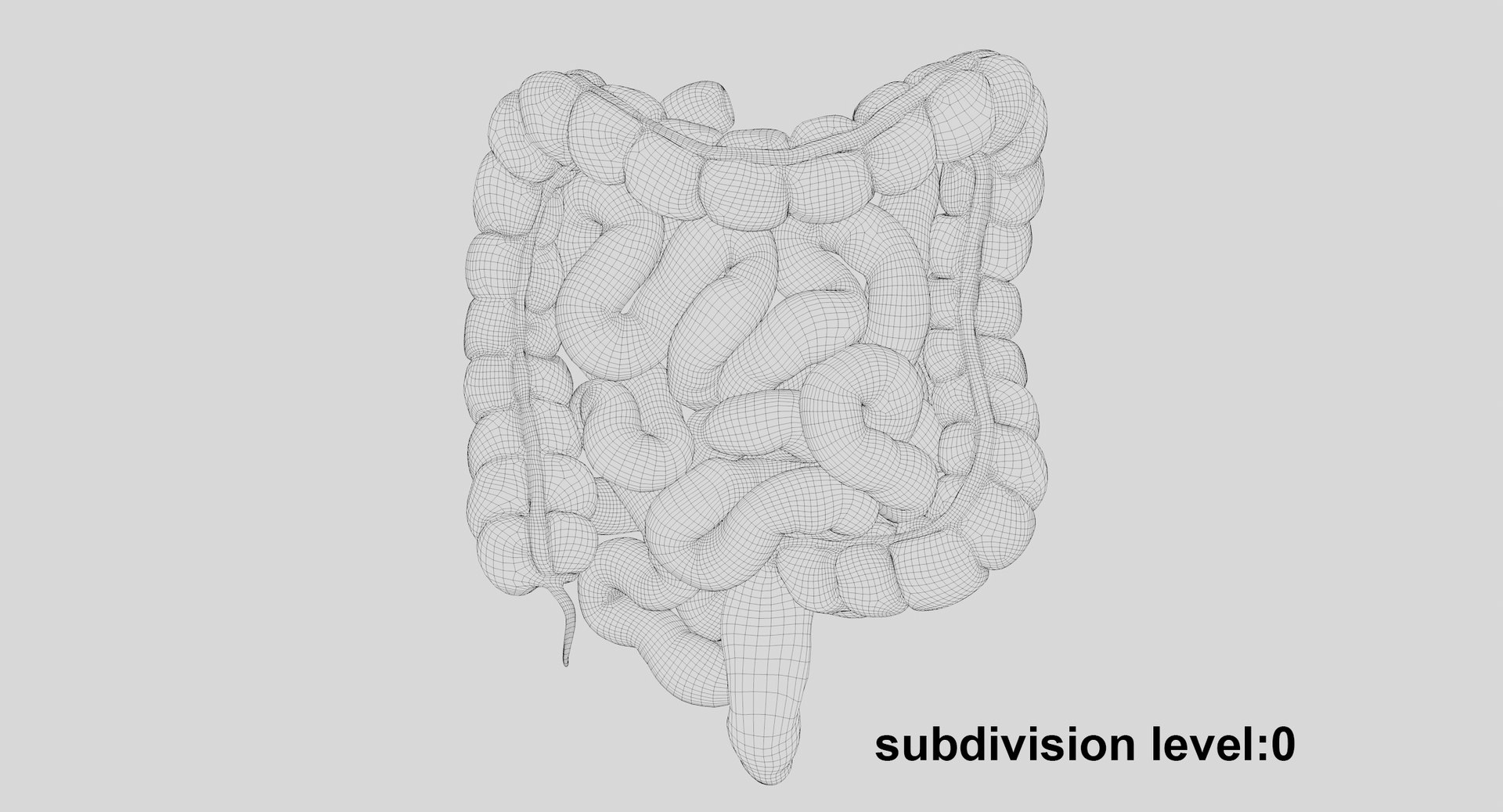 3D Human Intestine PBR https://p.turbosquid.com/ts-thumb/SN/B2XaKP/4t/wir01/jpg/1766079621/1920x1080/fit_q87/81fe84bb36e25d5cbbae24c1f34d9a4e8141b464/wir01.jpg