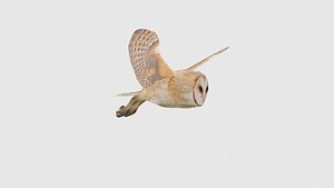 Low Poly Owl Rigged With Realistic Texture
