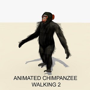 rigged chimpanzee walking animations 3d model