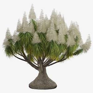 Set of Ponytail Palm or Beaucarnea recurvata Tree - 3 Trees model