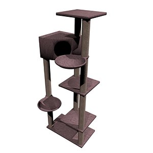 Cat Climbing Tower