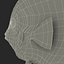 Symphysodon Fish Rigged for Cinema 4D